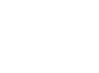 smartphone téléphone portable
